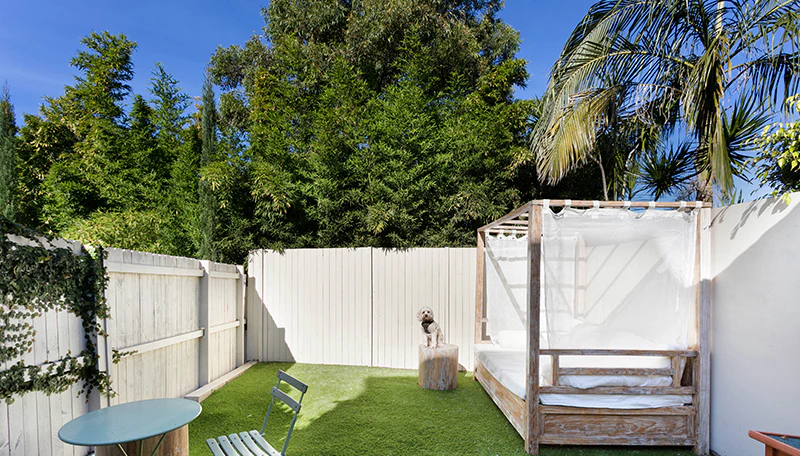 THE INNER WEST - A PARADISE FOR DOGS