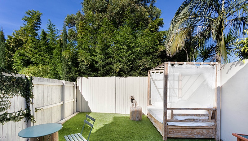 THE INNER WEST - A PARADISE FOR DOGS