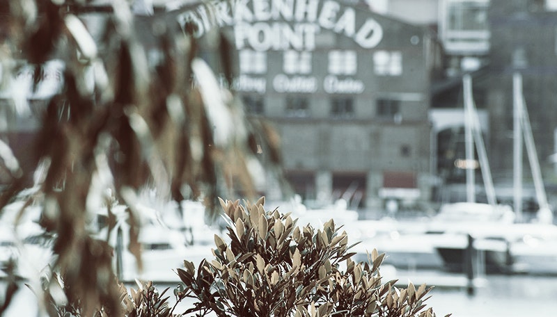 DRUMMOYNE – A PLACE TO ENJOY WINTER