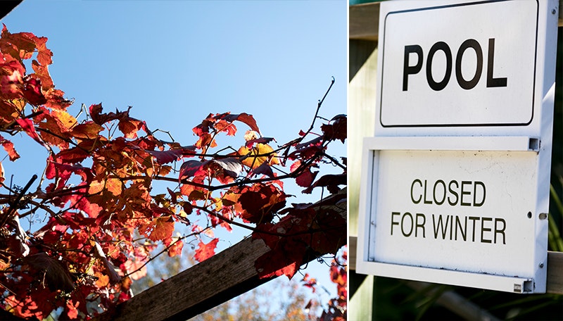 CHANGING SEASONS - PREPARING FOR WINTER