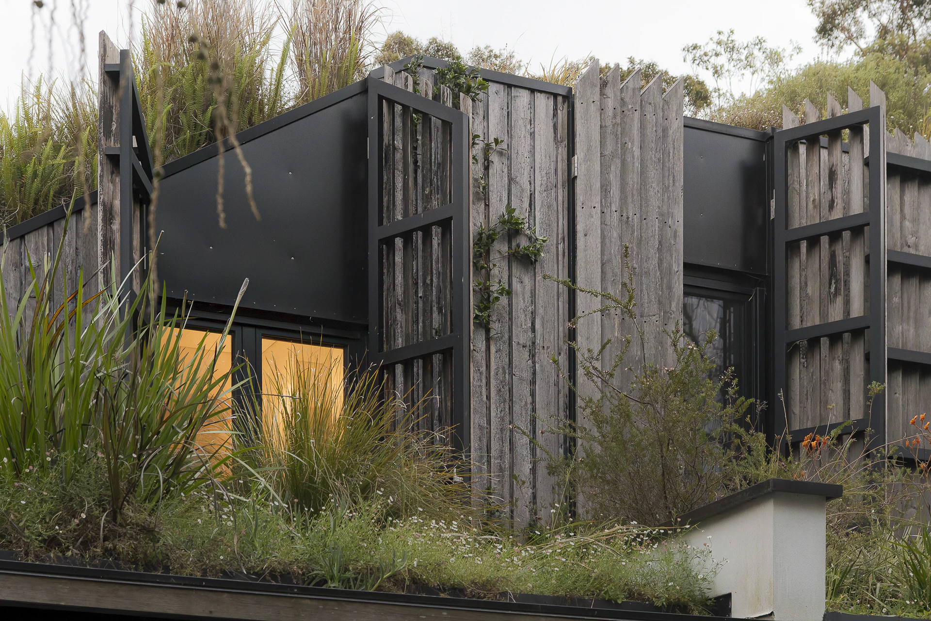 The living terrace that redefines sustainable luxury – 88c Angel Street, Newtown