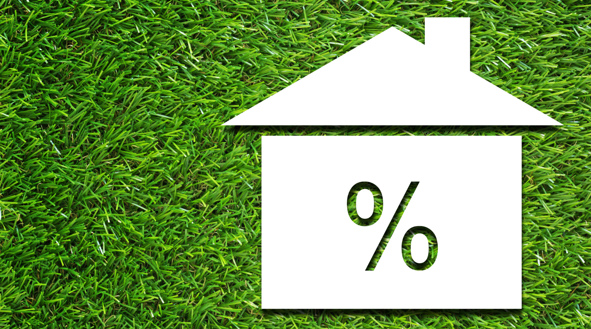 January Overview - Back for 2026: cutting through the noise in a shifting property market