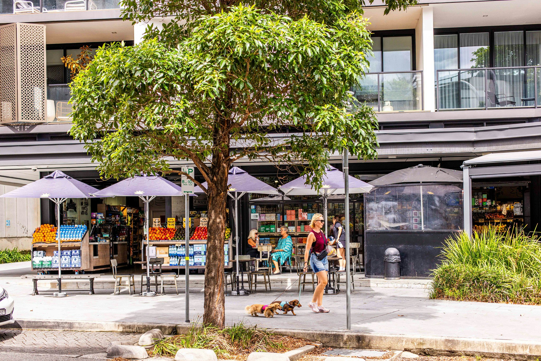 Sydney property: the truth behind the noise