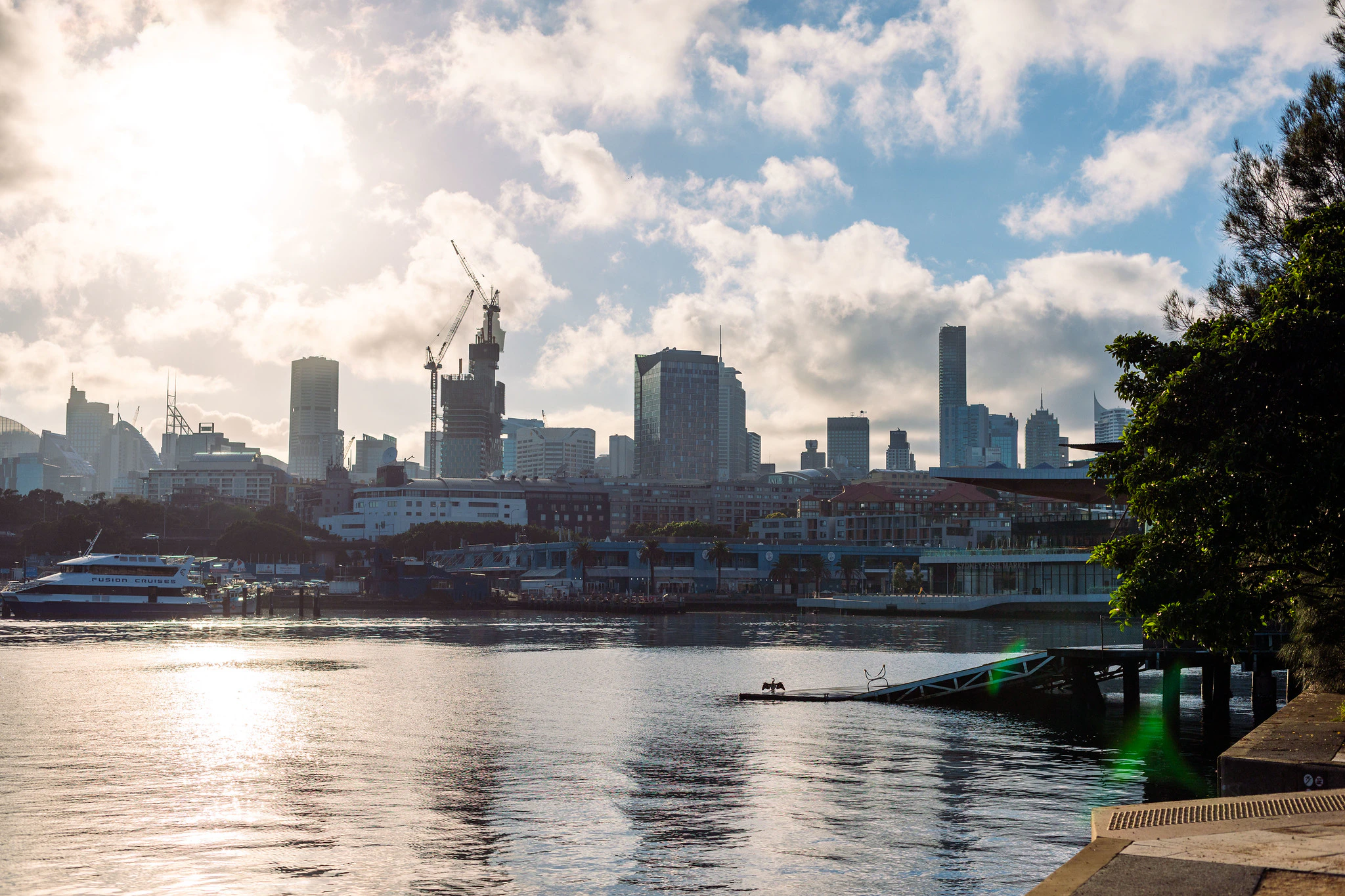 The sharp edge of the market: why May was a reckoning for Sydney property