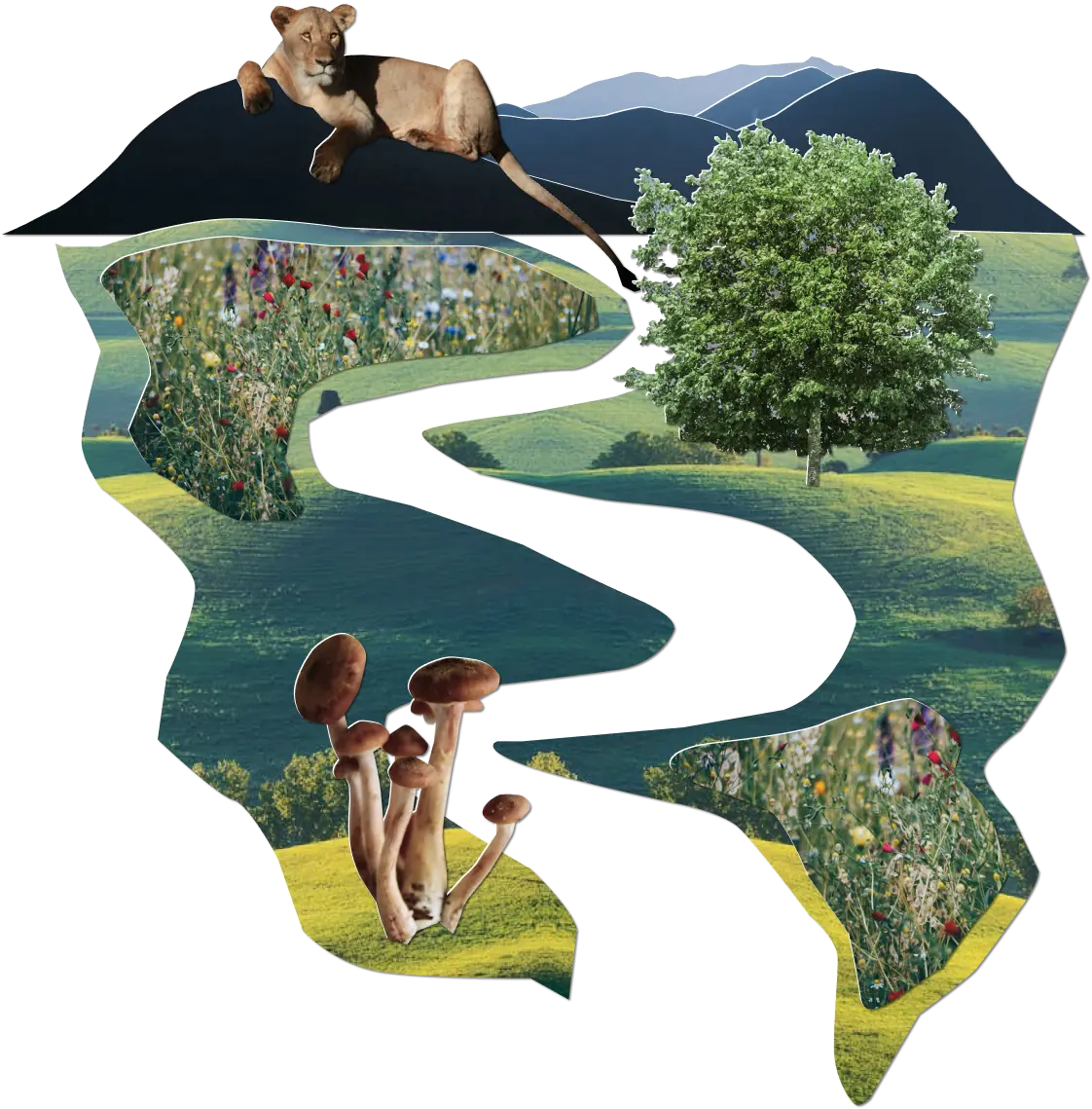 Collage of a landscape with mountains, wildflowers, mushrooms, a tree, and a female lion