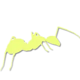 Yellow silhouette of an ant