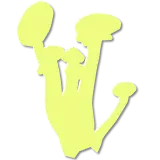 Yellow silhouette of a mushroom cluster