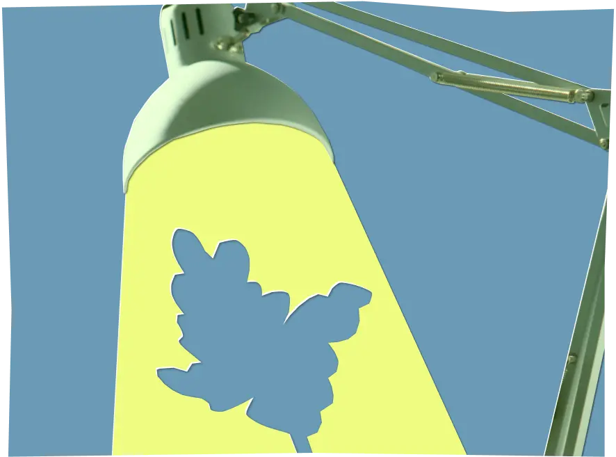 Collage of a big lamp shining light on the cut out of a tree