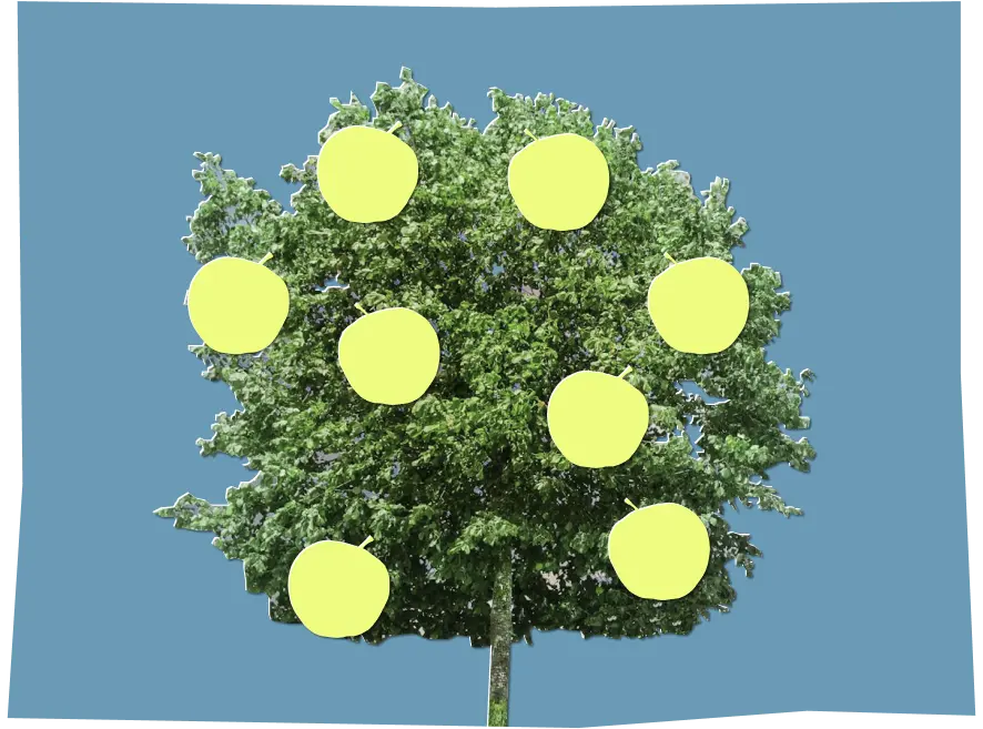 Collage of a tree with big yellow apples