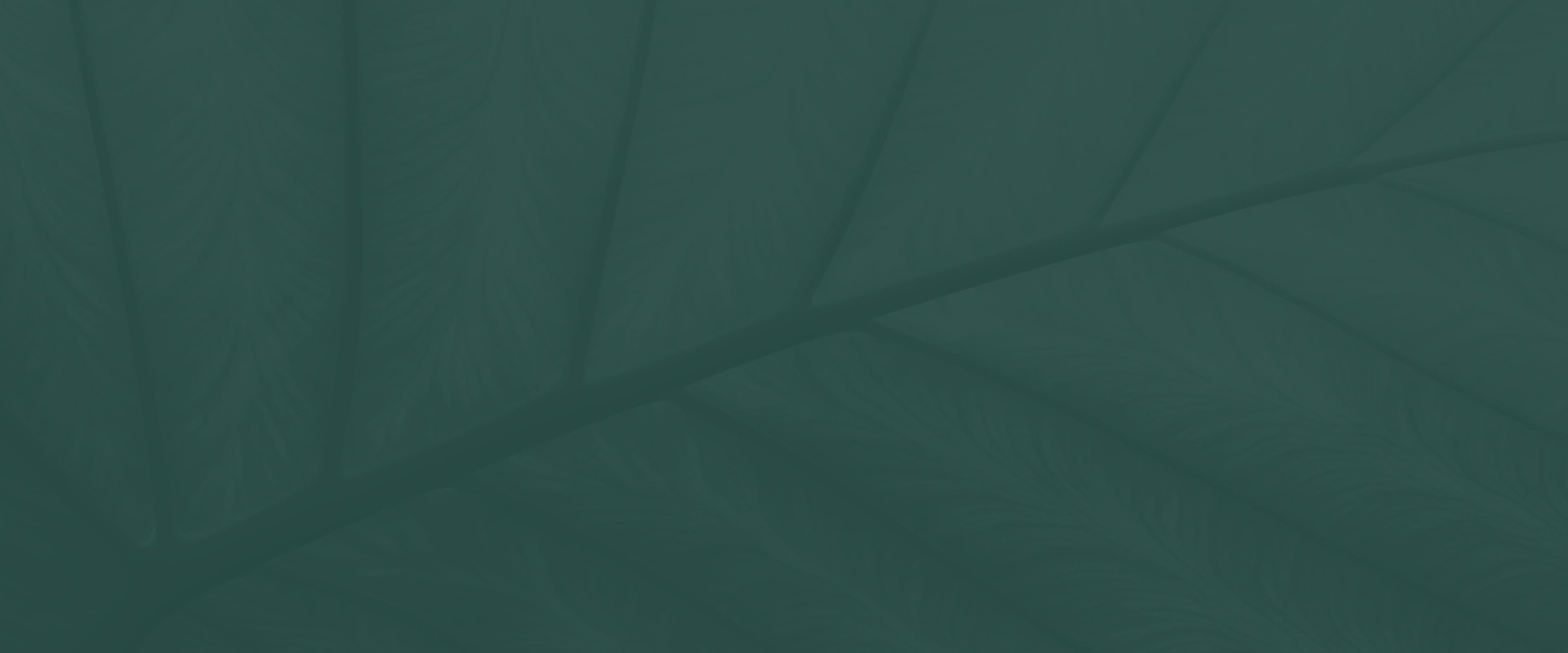 Banner media