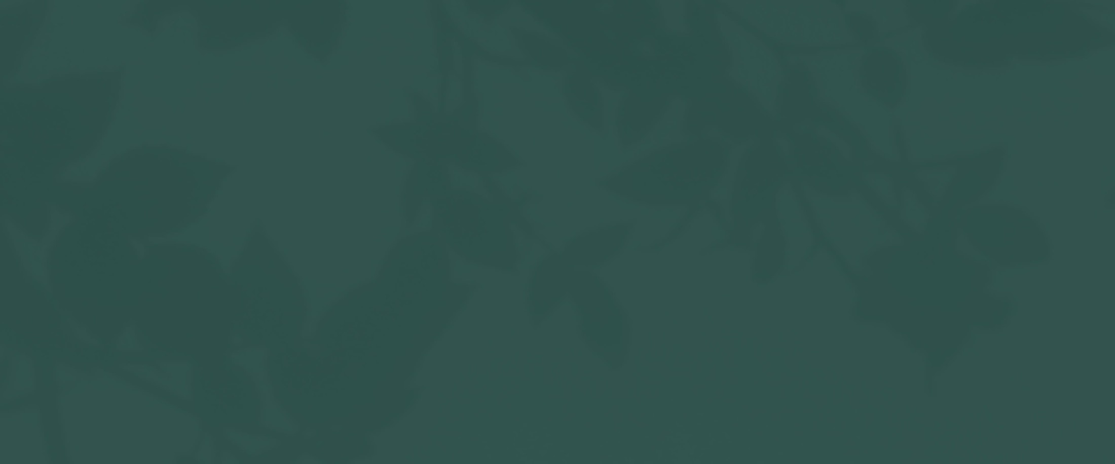 Banner media