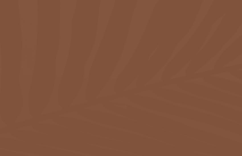 terracotta background