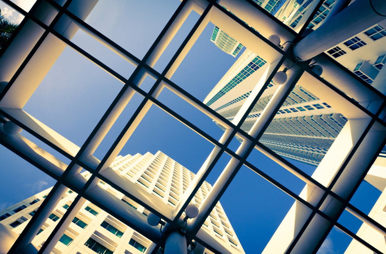 Looking up out a window