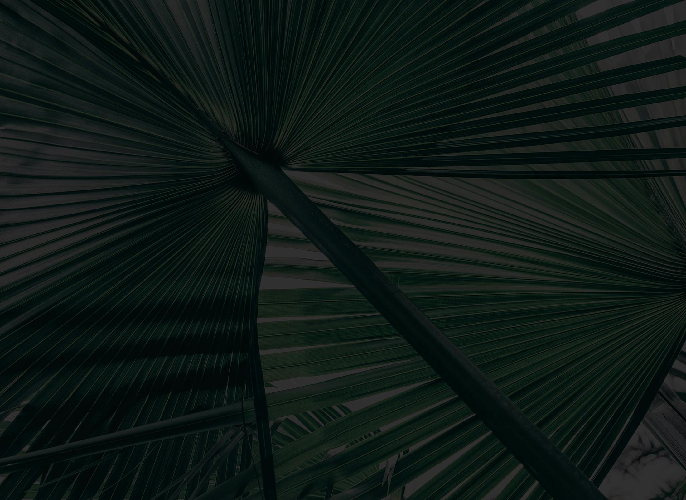 Background media
