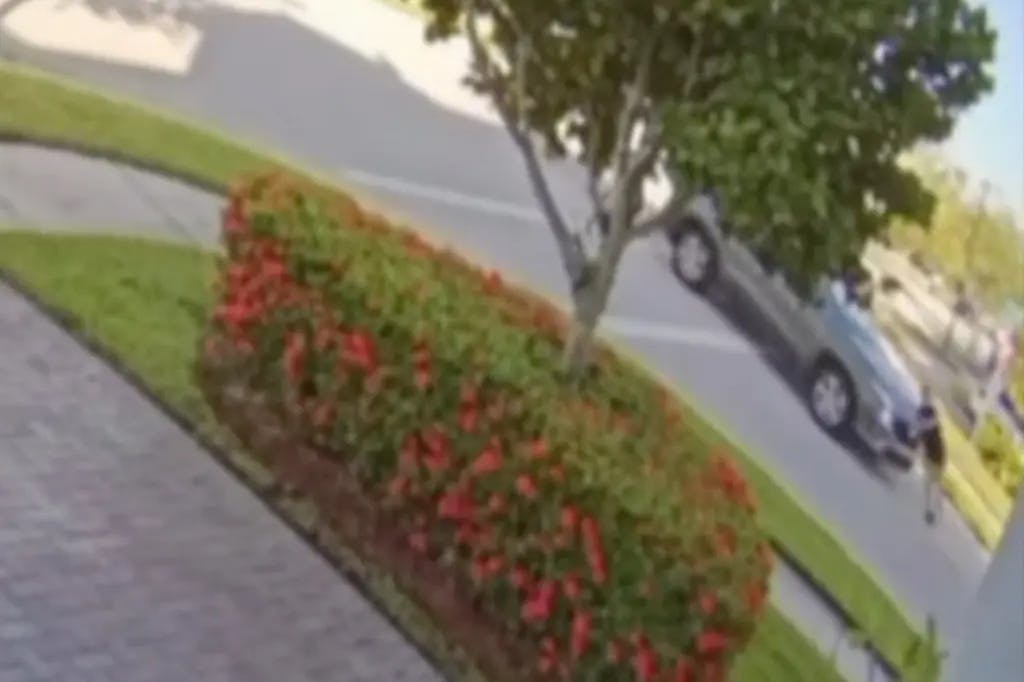 Florida mom left with 'catastrophic' injuries when she, baby are struck by migrant Amazon driver who fled.