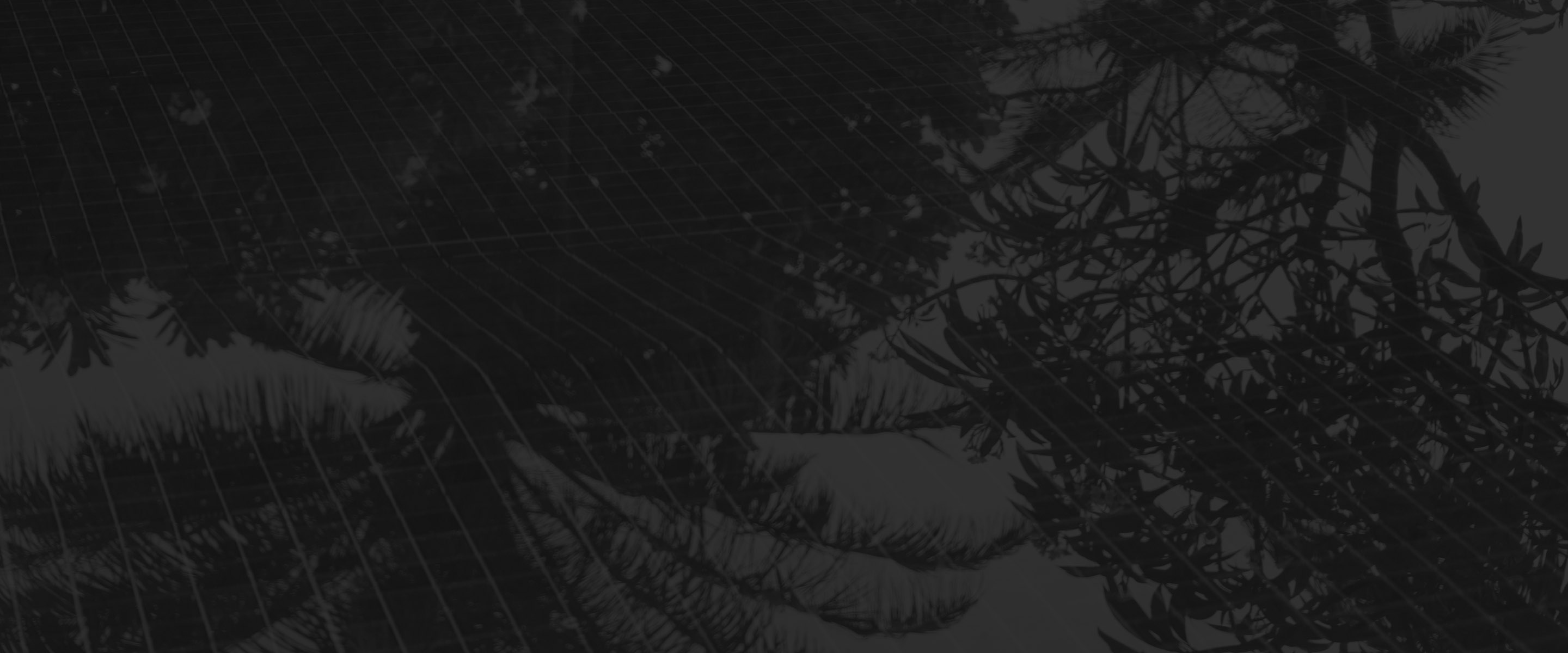 Banner media