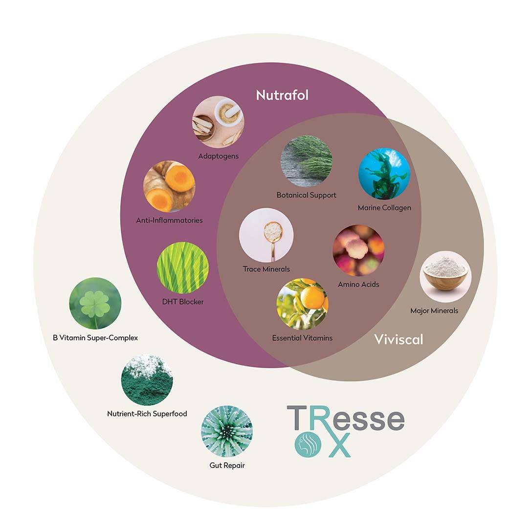 infographic