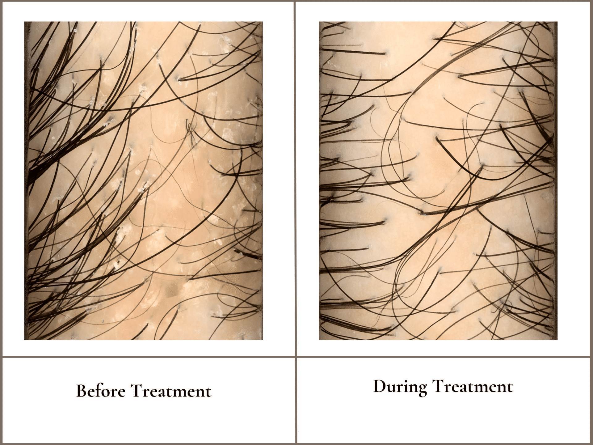 patient results