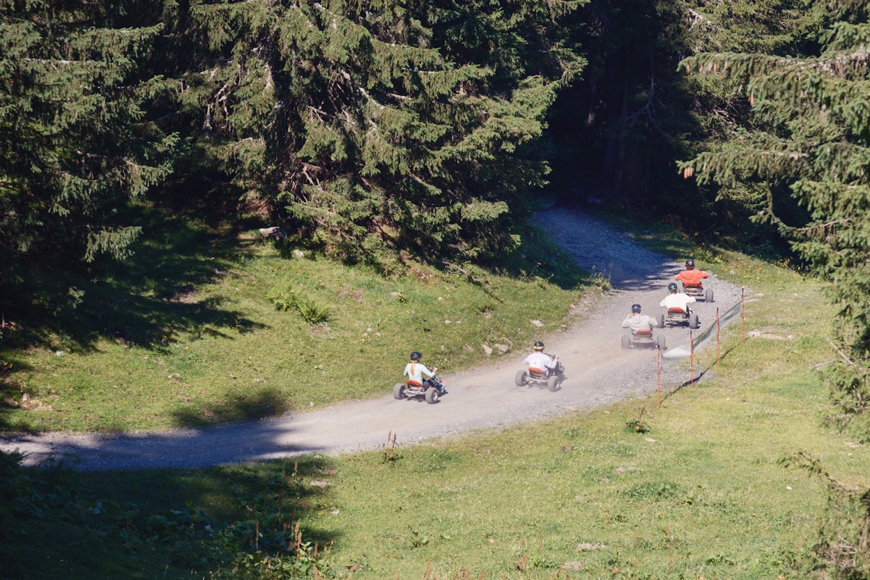 mountain kart