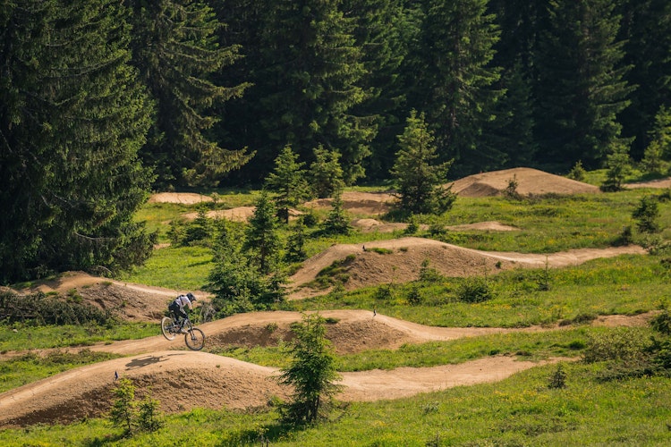 VTT