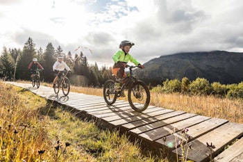 VTT