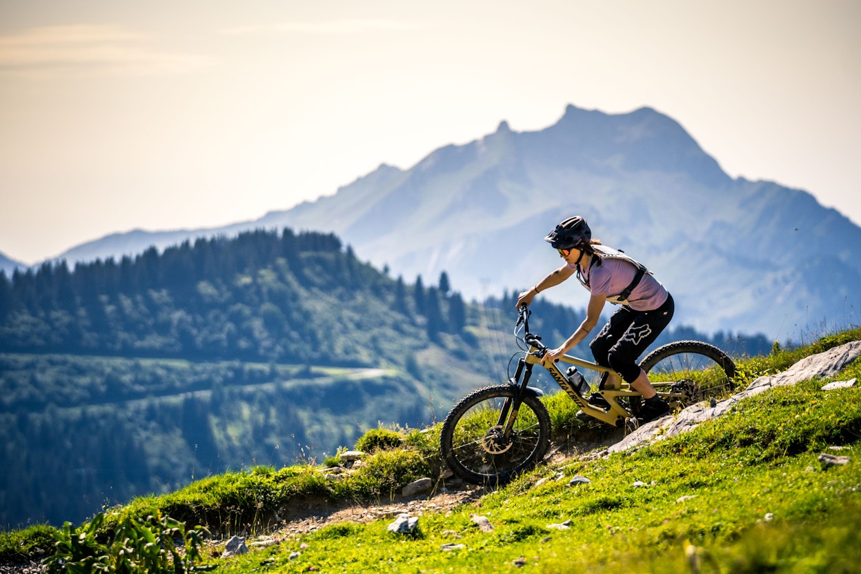 vtt