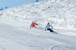 Ski