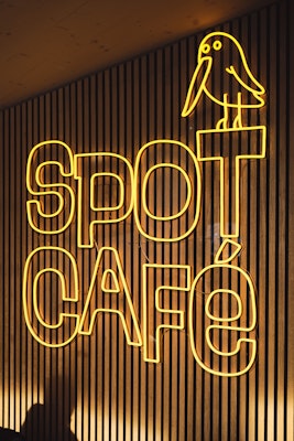 Spot