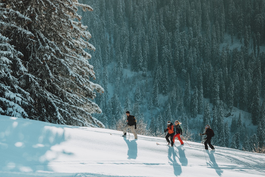 Ski