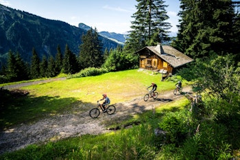 VTT