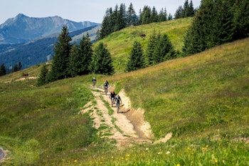 VTT
