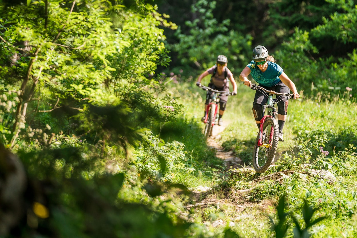 VTT