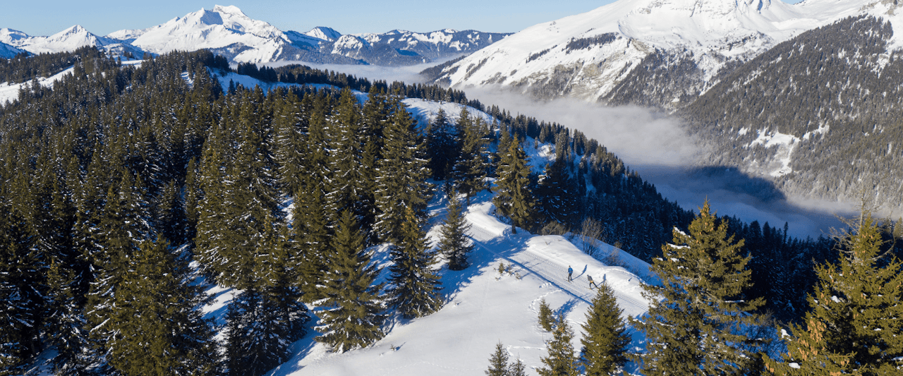 Ski de fond