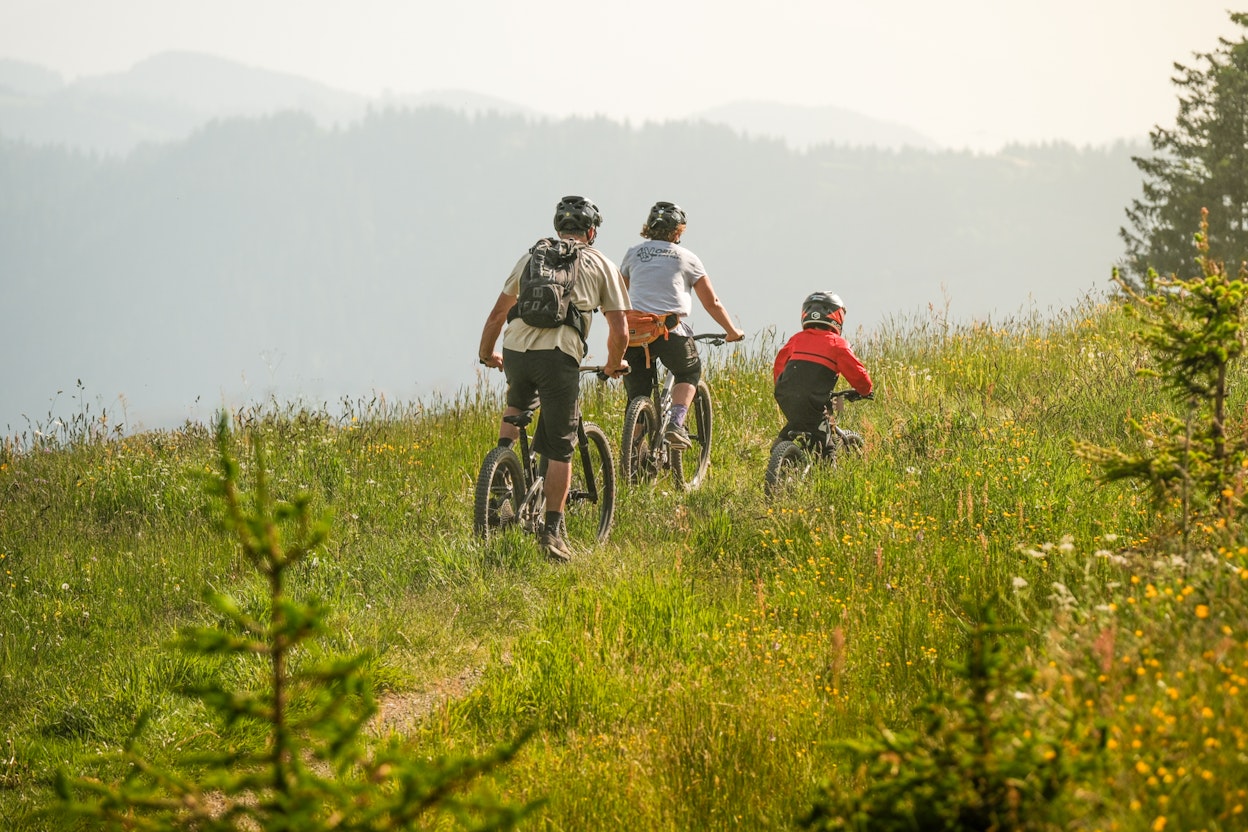 VTT
