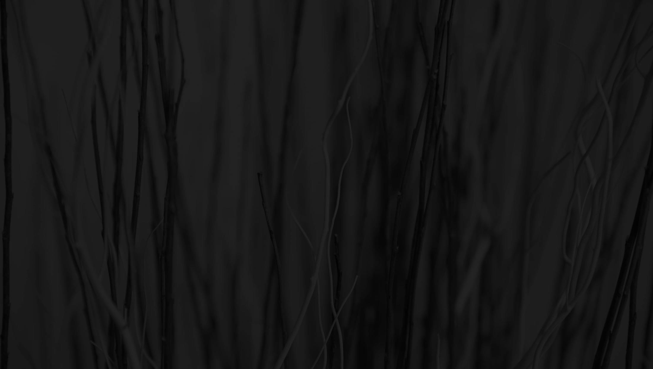 Banner media