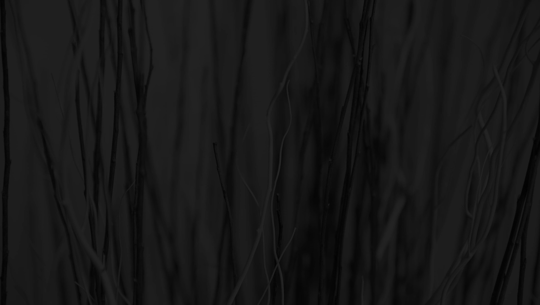 Banner media