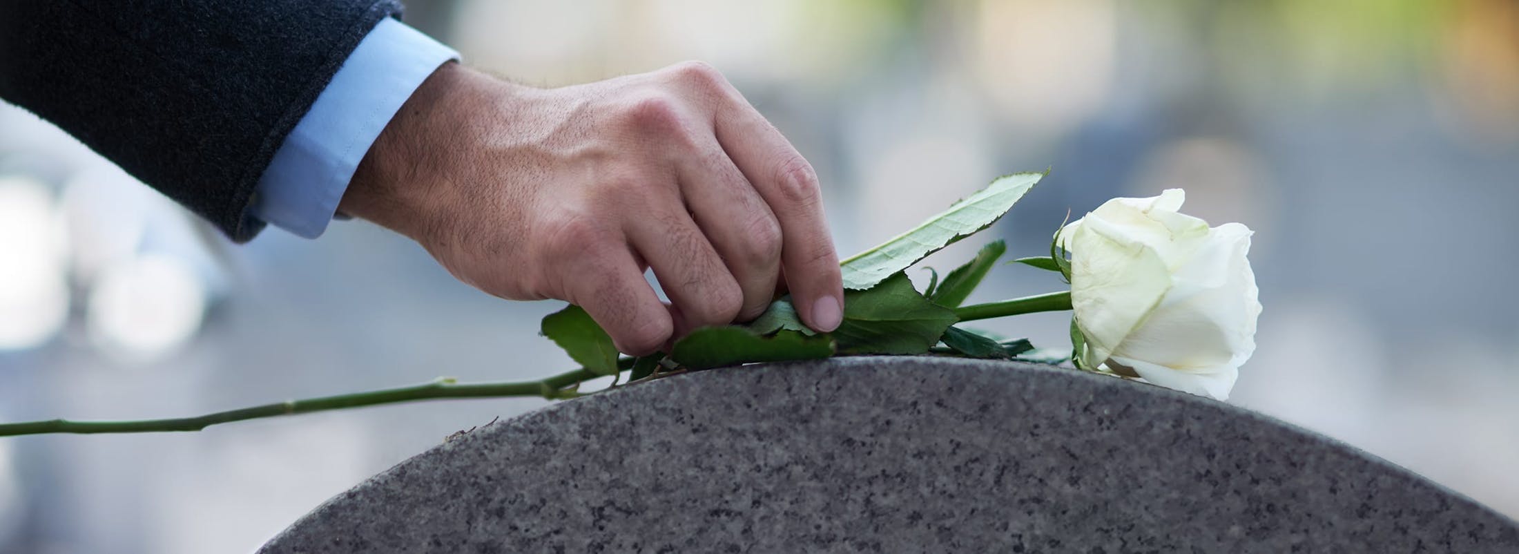 Flower at a funeral