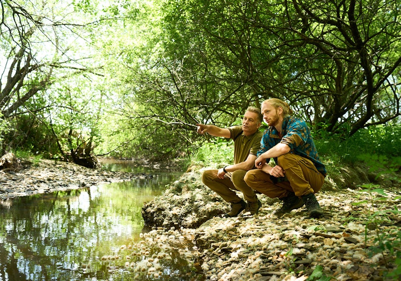 Stream in Downicary