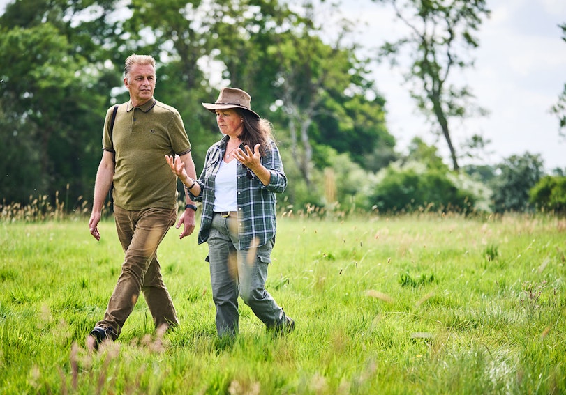 Walking through meadows in Downicary