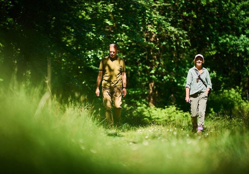 Walking through Bowyers Wood