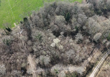 Aerial Shot of Bowyers Wood