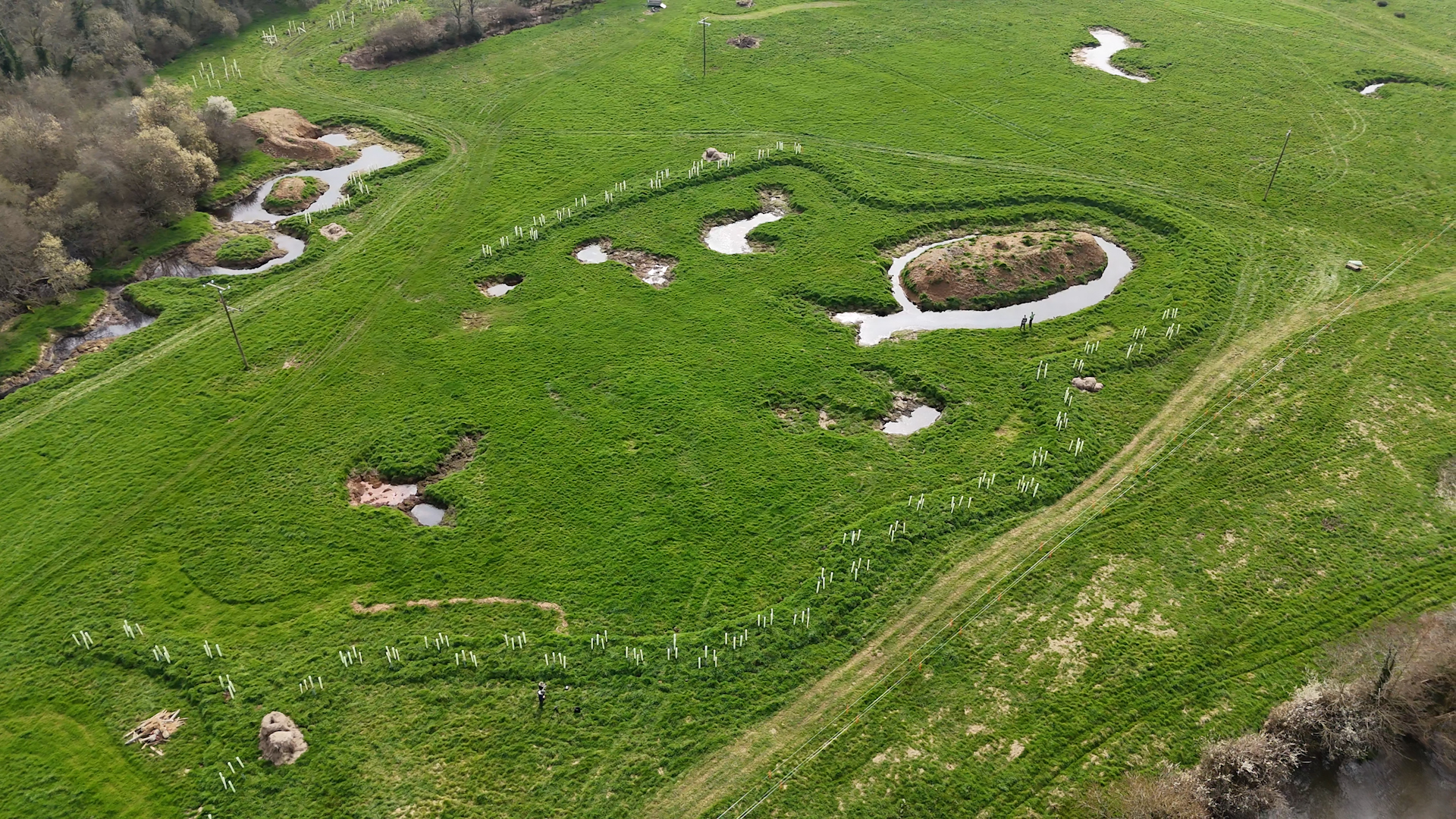 Downicary Rewilding Site Aerial Shot