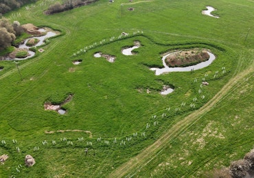 Downicary Rewilding Site Aerial Shot