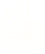 Logo media