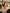 sociétés les Mieux gérées au Canada
