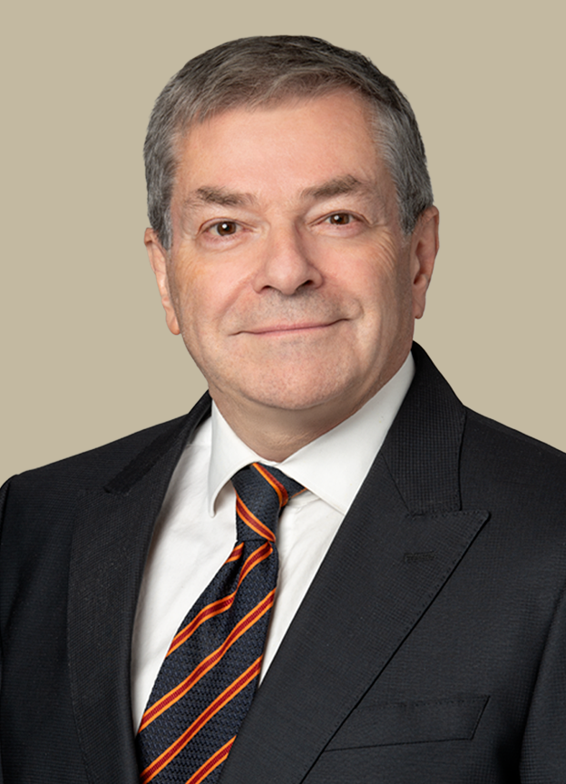Gilles Séguin, Partner, Lawyer at BCF Business Law - photo