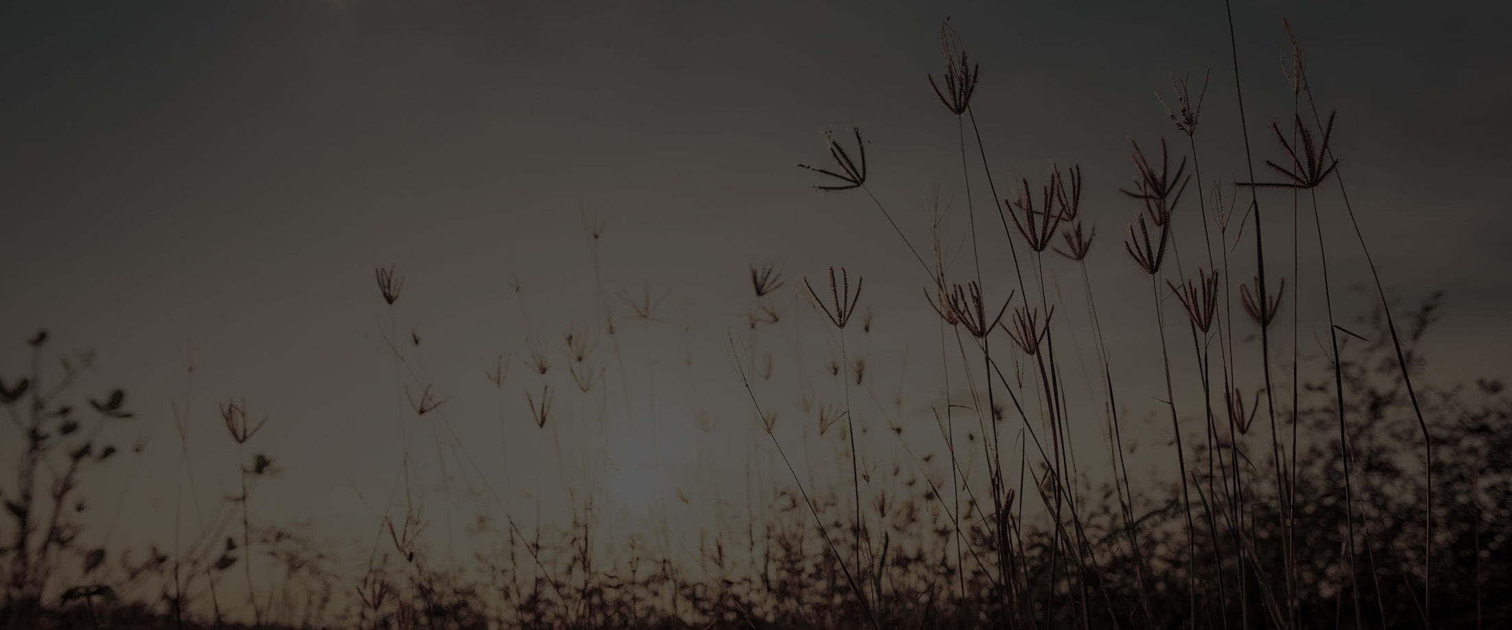 Banner media