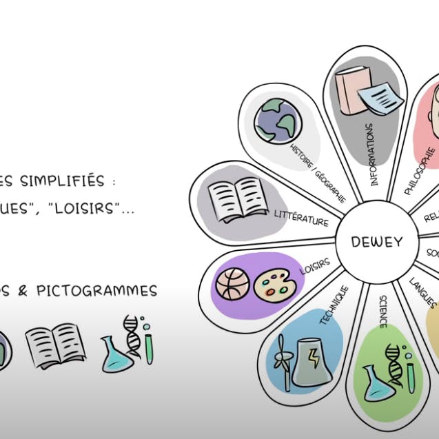 BSF Campus. Video about collection: cover. BSF Campus. Video about collection: cover.