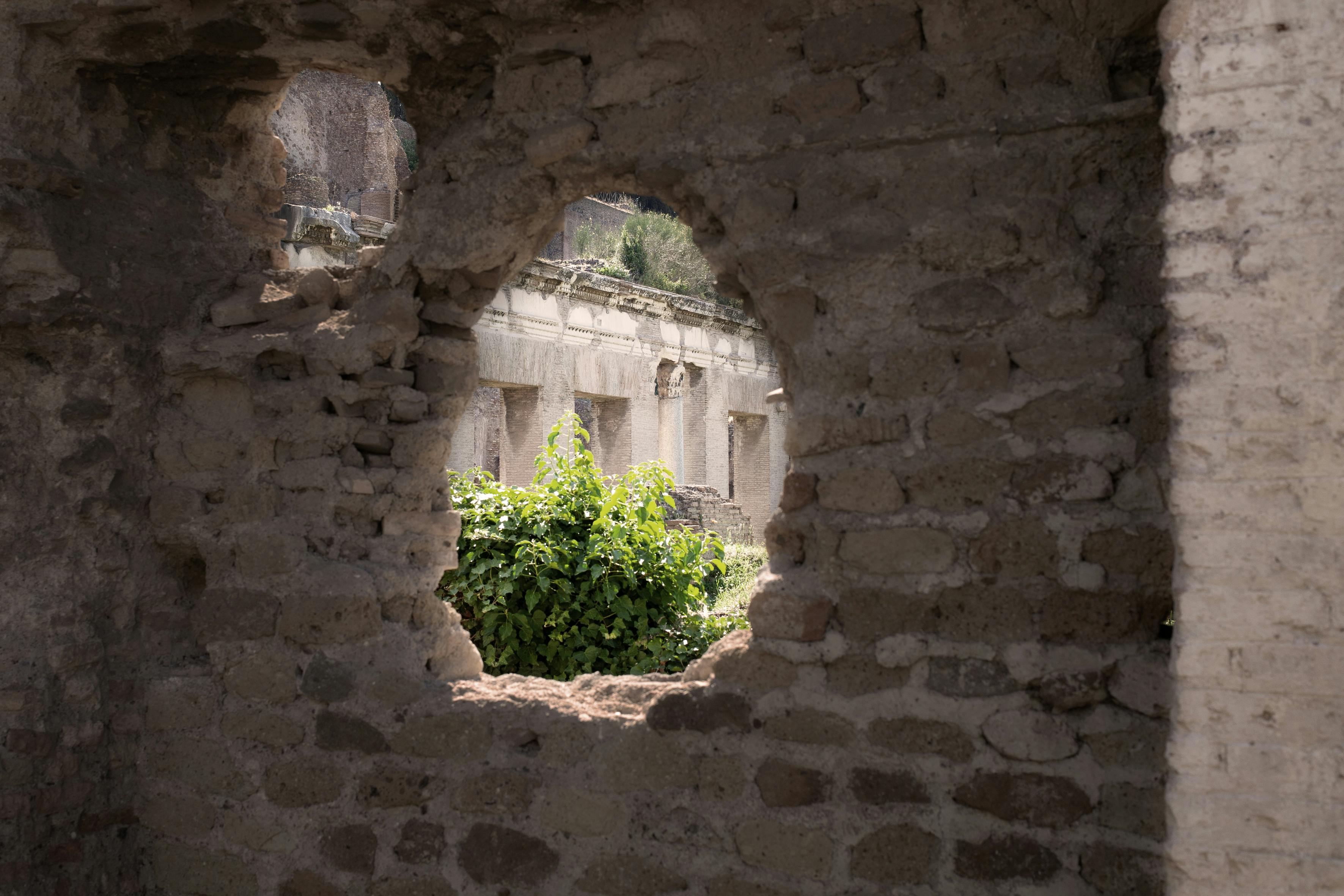 Roma, Parco Archeologico del Colosseo. Dettaglio
