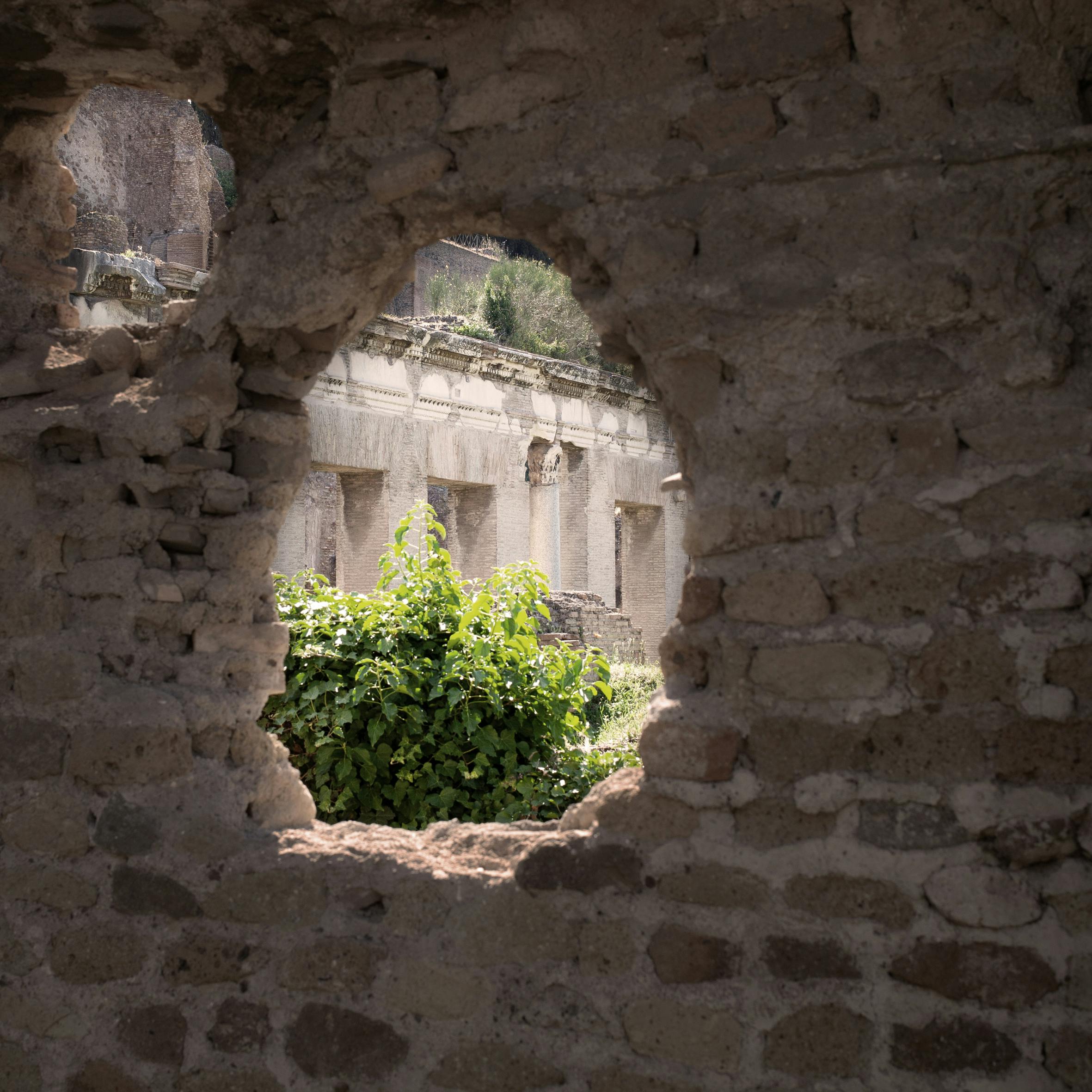 Roma, Parco Archeologico del Colosseo. Dettaglio Roma, Parco Archeologico del Colosseo. Dettaglio